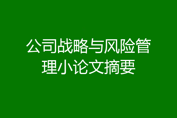 公司战略与风险管理小论文摘要