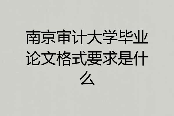 南京审计大学毕业论文格式要求是什么