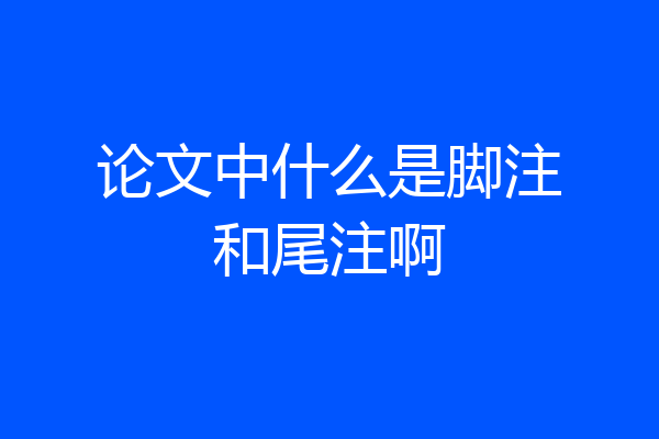 论文中什么是脚注和尾注啊