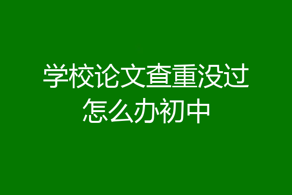 学校论文查重没过怎么办初中