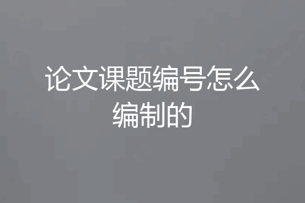 论文课题编号怎么编制的