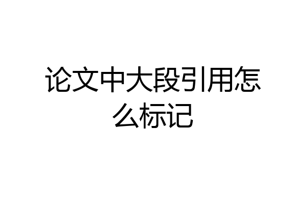 论文中大段引用怎么标记