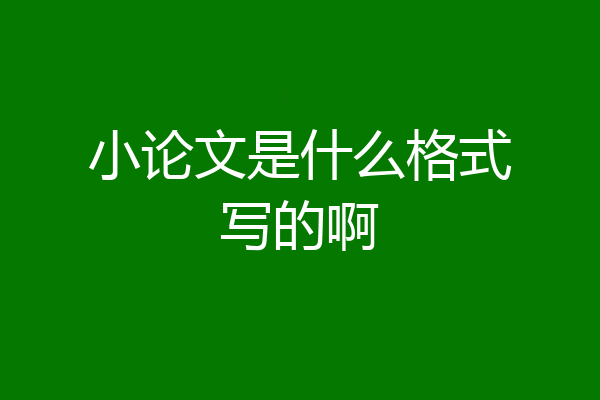 小论文是什么格式写的啊