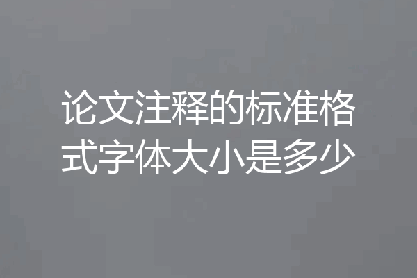 论文注释的标准格式字体大小是多少