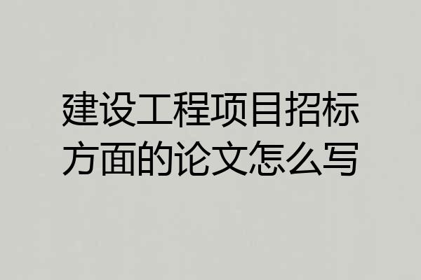 建设工程项目招标方面的论文怎么写