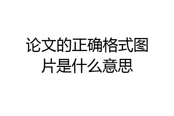 论文的正确格式图片是什么意思