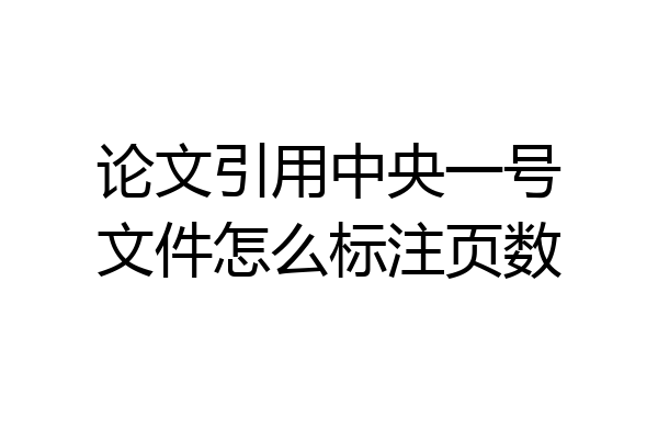 论文引用中央一号文件怎么标注页数
