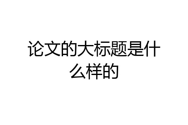 论文的大标题是什么样的