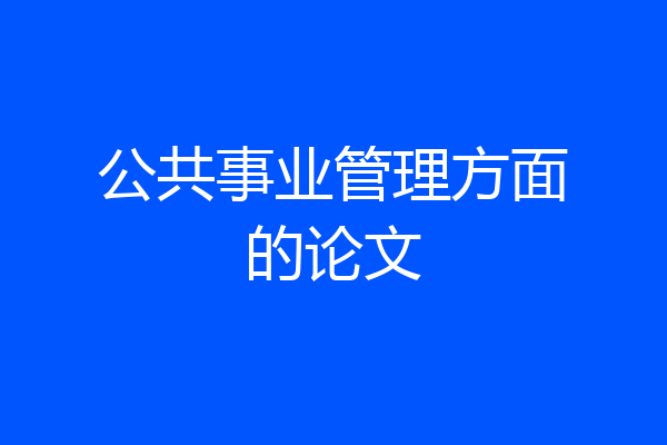 公共事业管理方面的论文