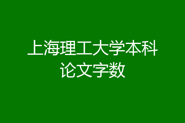 上海理工大学本科论文字数