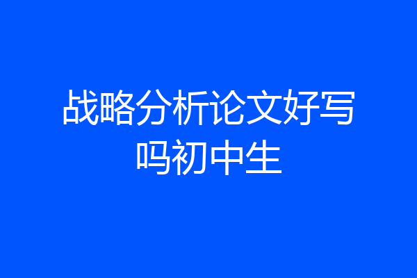 战略分析论文好写吗初中生