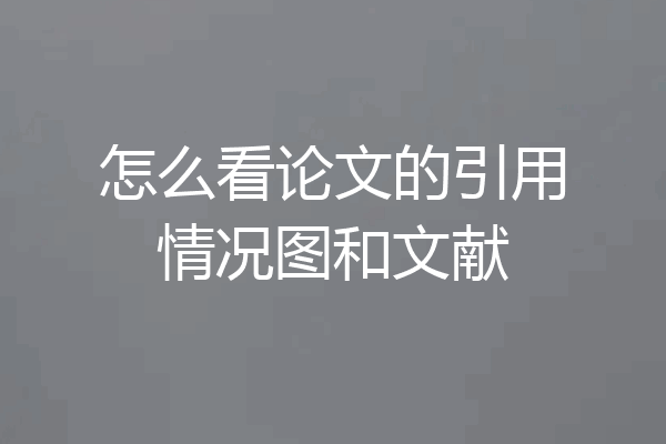 怎么看论文的引用情况图和文献