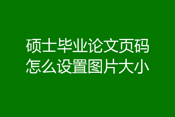 硕士毕业论文页码怎么设置图片大小