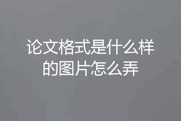 论文格式是什么样的图片怎么弄