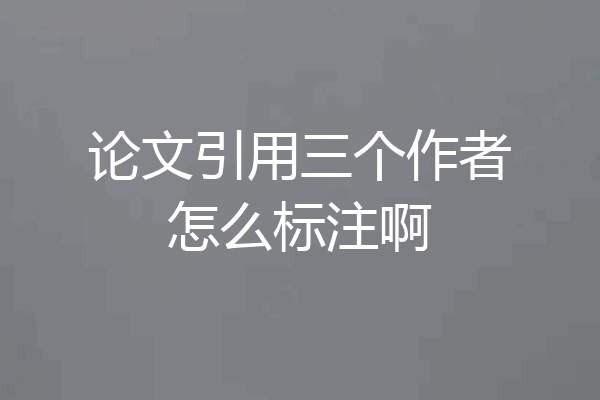 论文引用三个作者怎么标注啊