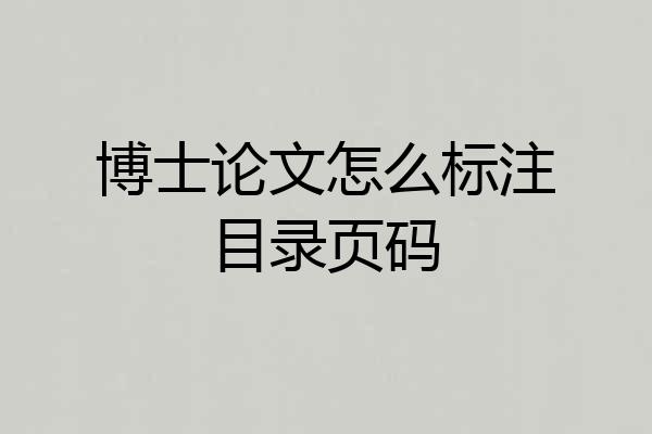 博士论文怎么标注目录页码