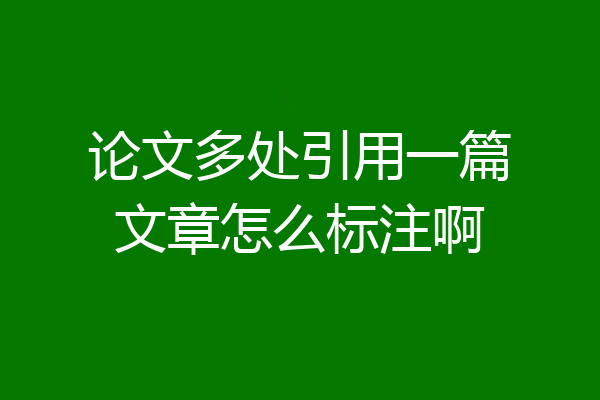 论文多处引用一篇文章怎么标注啊