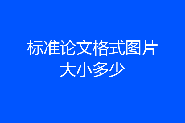 标准论文格式图片大小多少