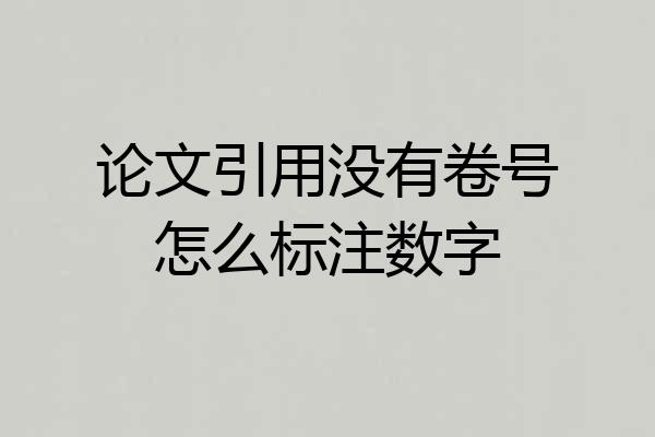 论文引用没有卷号怎么标注数字