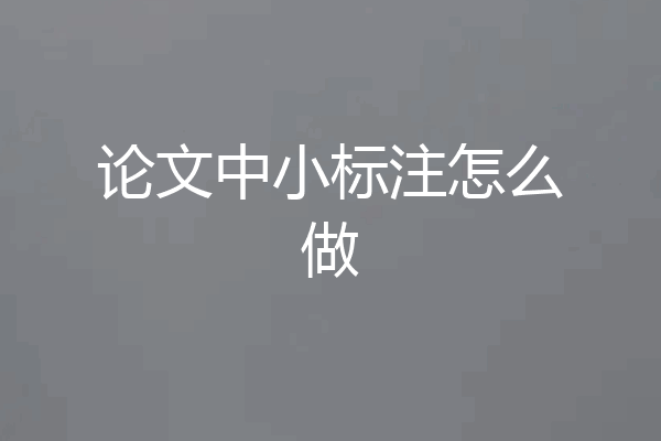 论文中小标注怎么做