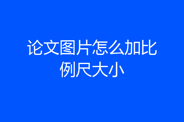 论文图片怎么加比例尺大小