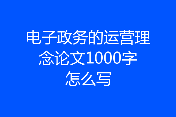 电子政务的运营理念论文1000字怎么写