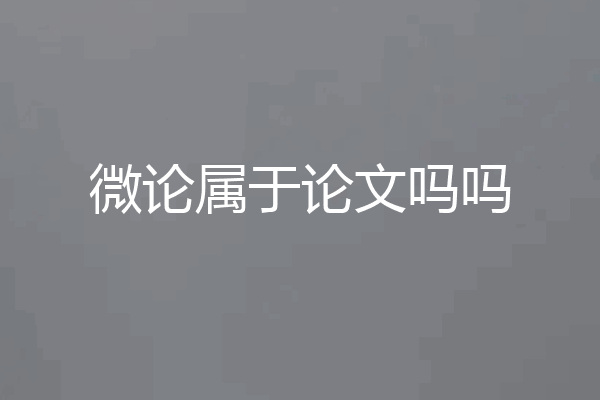 微论属于论文吗吗