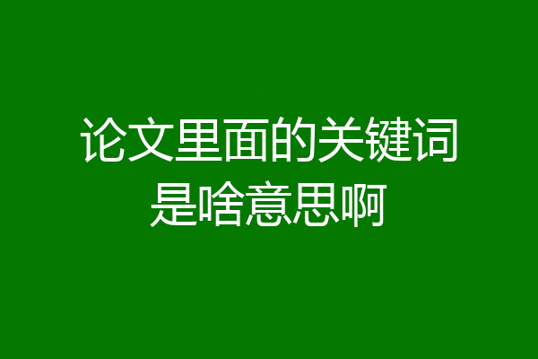 论文里面的关键词是啥意思啊