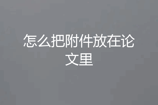 怎么把附件放在论文里