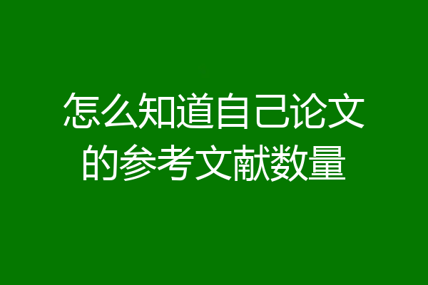 怎么知道自己论文的参考文献数量