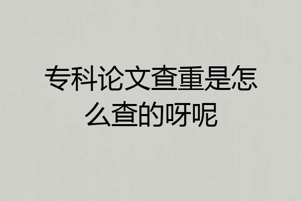 专科论文查重是怎么查的呀呢