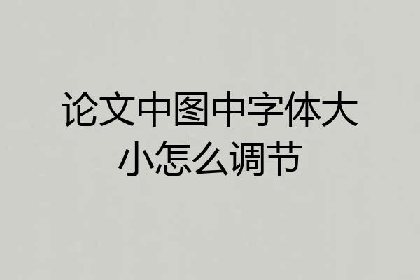 论文中图中字体大小怎么调节
