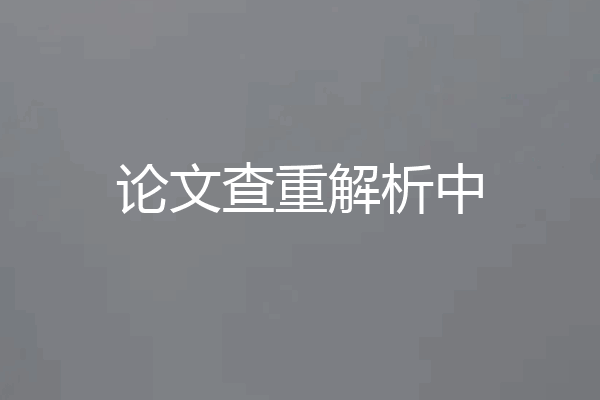 论文查重解析中