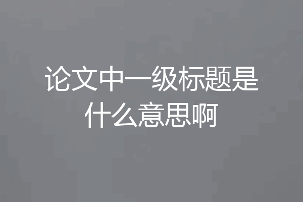 论文中一级标题是什么意思啊