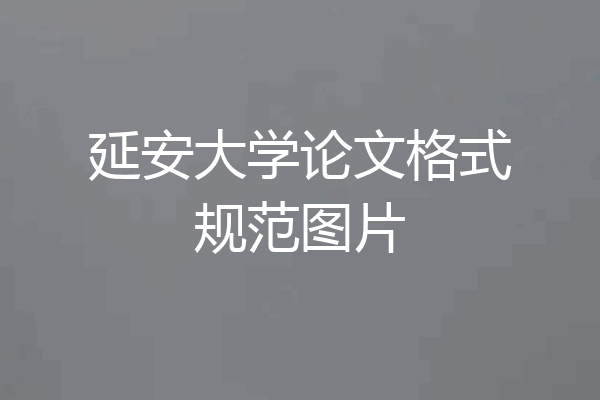 延安大学论文格式规范图片