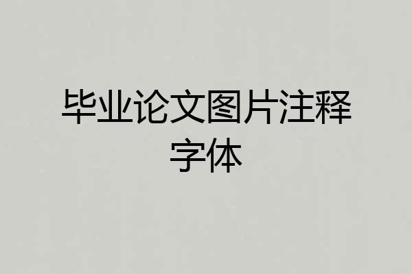 毕业论文图片注释字体
