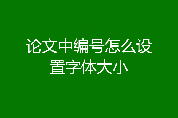 论文中编号怎么设置字体大小