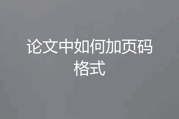 论文中如何加页码格式