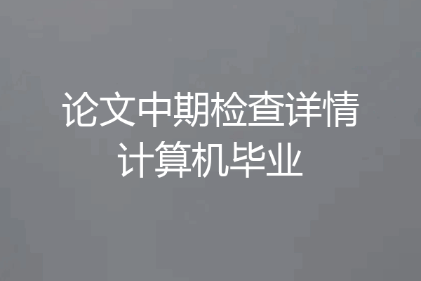 论文中期检查详情计算机毕业