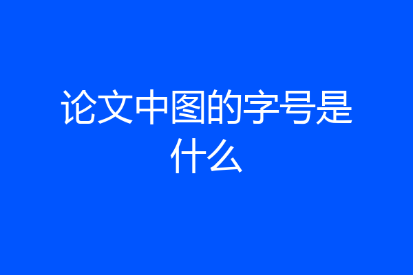 论文中图的字号是什么