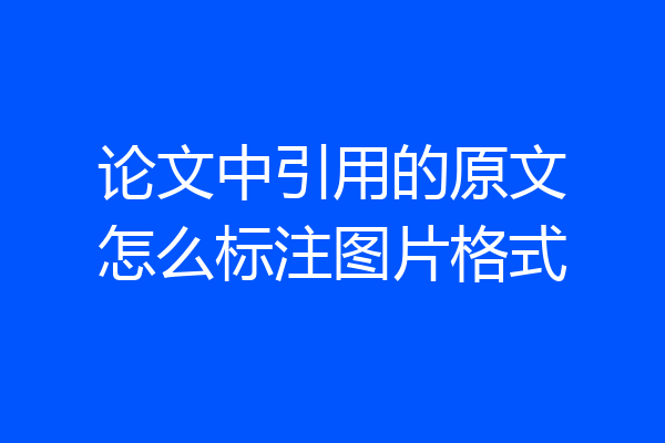 论文中引用的原文怎么标注图片格式