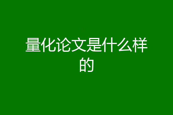 量化论文是什么样的