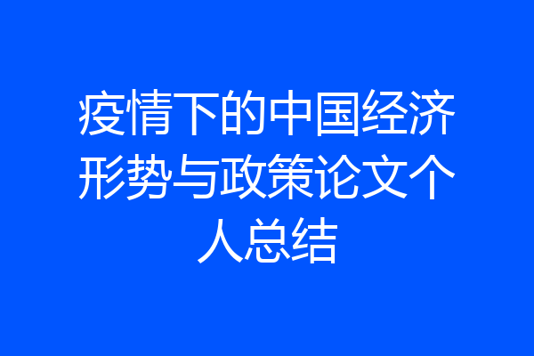 疫情下的中国经济形势与政策论文个人总结
