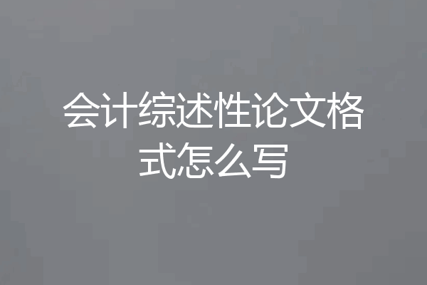 会计综述性论文格式怎么写