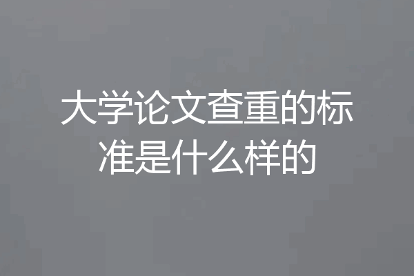 大学论文查重的标准是什么样的