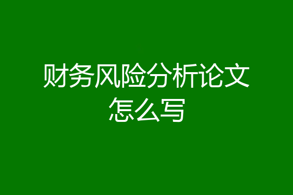 财务风险分析论文怎么写