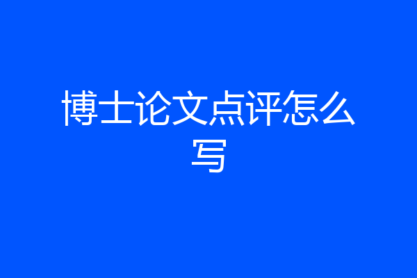 博士论文点评怎么写