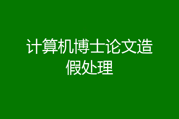计算机博士论文造假处理