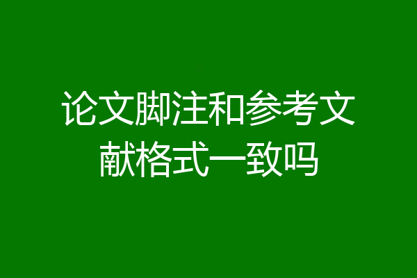 论文脚注和参考文献格式一致吗