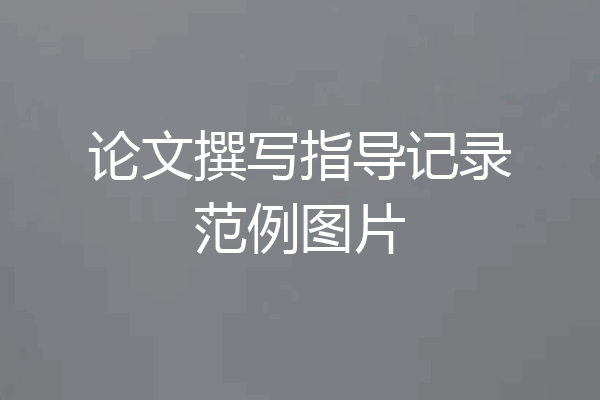 论文撰写指导记录范例图片